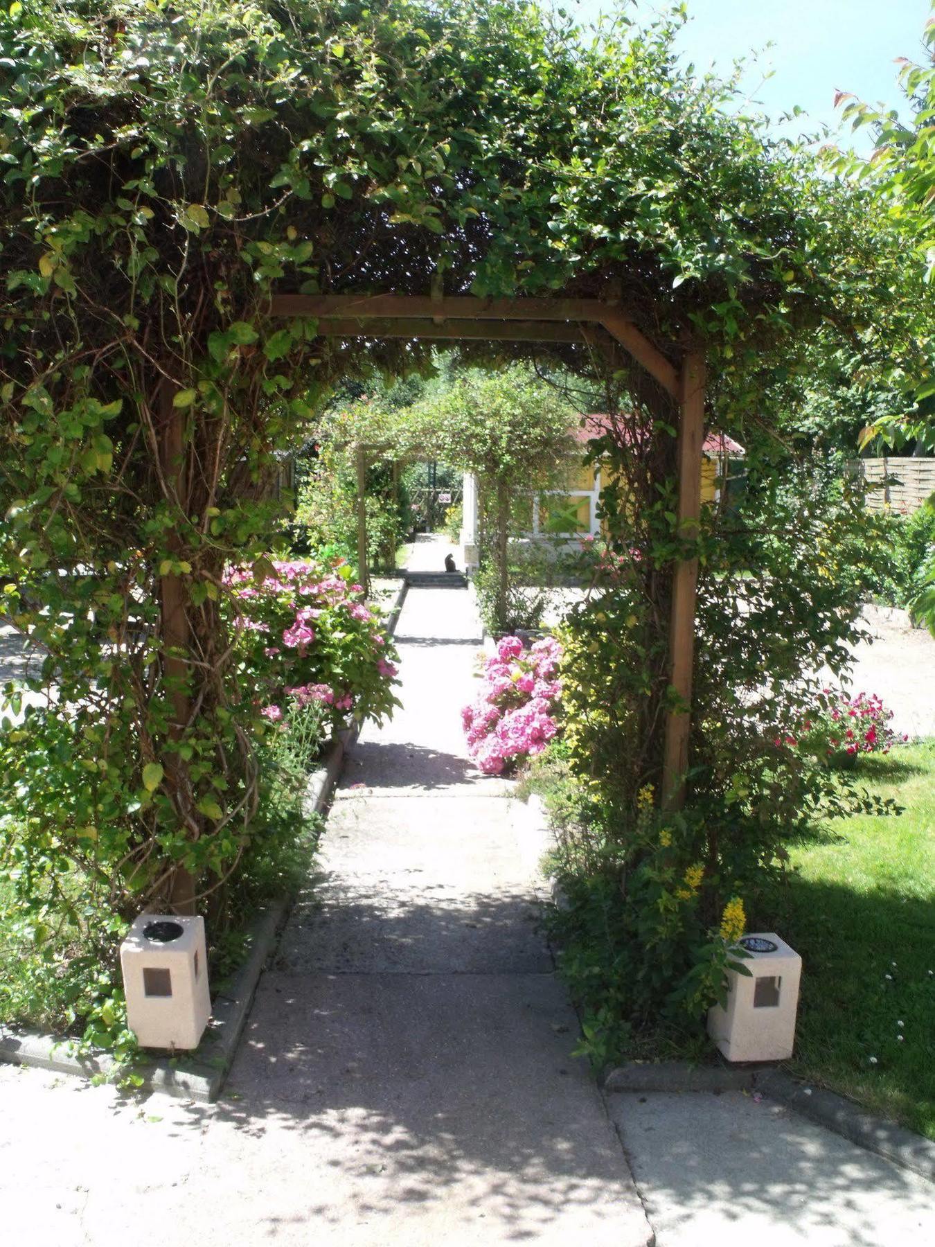 Le Clos Robinson Martin-Eglise Exterior photo